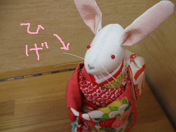 ウサギ人形ひげIMG_7284.JPG