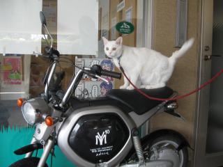 バイクでGOpictIMIMG_1048.jpg