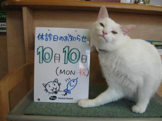 10休診日のご案内pictIMIMG_3677.jpg