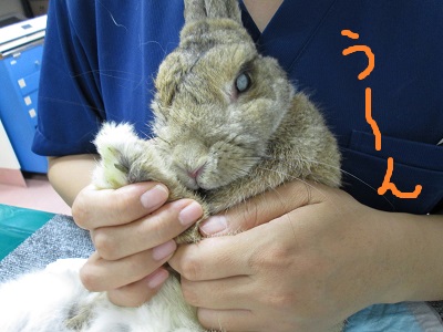 H4う～んIMG_0308.JPG
