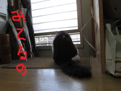 S1みてるのIMG_7146.JPG