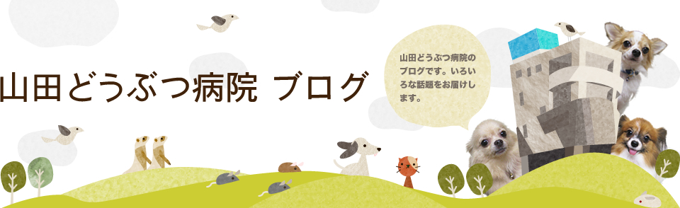 静岡県静岡市の動物病院、山田どうぶつ病院のブログ