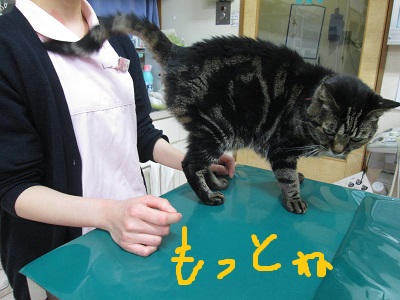 d7もっとねIMG_8078.JPG