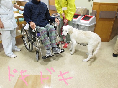 p3ドキドキIMG_8716.JPG