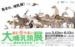 pictIMG-千代子さん4大哺乳類展.jpg