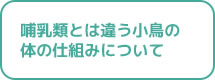 哺乳類とは違う小鳥の体の仕組みについて