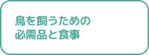 鳥を飼うための必需品と食事