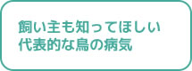 飼い主も知ってほしい代表的な鳥の病気