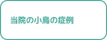 当院の小鳥の症例