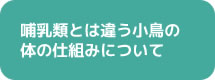 哺乳類とは違う小鳥の体の仕組みについて