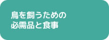 鳥を飼うための必需品と食事