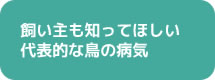 飼い主も知ってほしい代表的な鳥の病気
