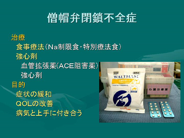 13.僧帽弁閉鎖不全症　治療、目的