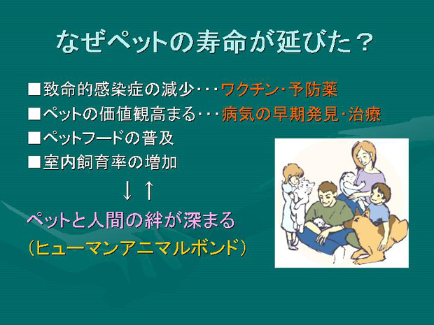 3.なぜペットの寿命が延びた？