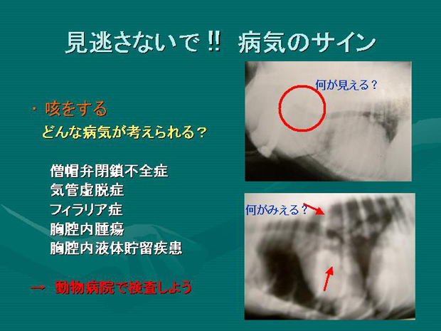 44.見逃さないで！！病気のサイン　咳をする