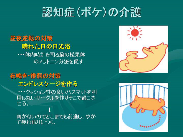 54.認知症（ボケ）の介護　対策