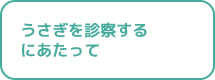 うさぎを診察するにあたって