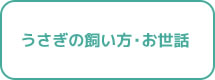 うさぎの飼い方・お世話