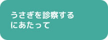 うさぎを診察するにあたって