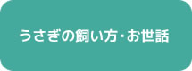 うさぎの飼い方・お世話