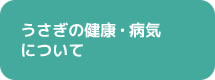 うさぎの健康病気について